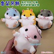 紅豆批發小舖/日韓超夯熱銷創意防變形內衣晾曬架/ 胸罩架 乾濕兩用內衣無痕晾衣架 歷史價格詳細信息