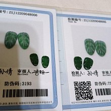 【出貨地A】情色漫畫老師 小說 1 &amp; 2 歷史價格詳細信息