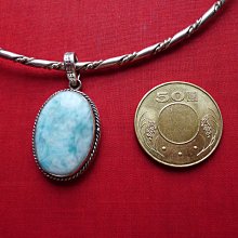 【 清倉特價】925純銀精緻典雅天然鐵龍生珊瑚耳環(勾式04)~~給第一標 歷史價格詳細信息