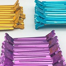 ＊德馨美容＊不鏽鋼毛夾 小黑夾 毛夾 白鐵毛夾 固定夾 瀏海夾 一字夾造型 包頭 美容美髮乙級、丙級考試檢定專用 歷史價格詳細信息