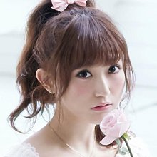 lizlisa背部3隻蝴蝶結蕾絲領毛毛袖口長袖洋裝款大衣外套日本LIZ日系長版外套~厚款 歷史價格詳細信息