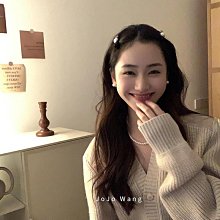絲絨小髮夾 瀏海夾 髮夾 植絨壓克力 小號抓夾 秋冬側邊夾子 頭髮飾品 絲絨髮夾 側邊夾 髮飾 現貨 歷史價格詳細信息