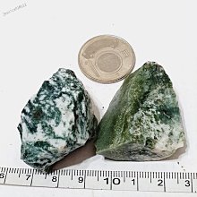 苔療癒！苔蘚生態瓶DIY【金石堂】 歷史價格詳細信息