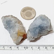 本質教養：22個親子練習，打造品格×心智×學習的全方位素養 / 池羅英 日月文化集團 歷史價格詳細信息