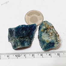 ????實驗教具????1元 5元 10元 50元 硬幣 模型 假硬幣 錢幣 塑膠 玩具 教具 歷史價格詳細信息