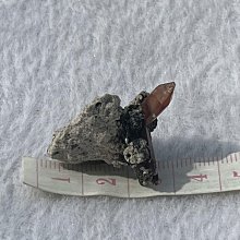 可愛鐵標大頭圍毛絨白色兔毛貝雷帽女毛茸茸帽子秋冬法式畫家帽 歷史價格詳細信息