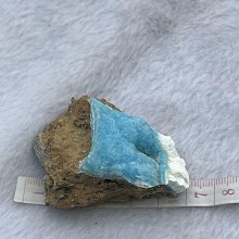 學做異國料理的第一本書：日式‧韓式‧泰式‧義大利‧中東‧西班牙‧西餐，一次學會七大主題料理 歷史價格詳細信息
