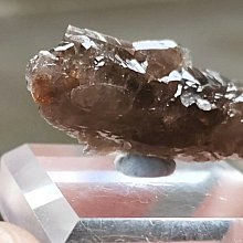 【二手】天然云母和黑碧璽礦物共生標本，重280克，尺寸45✖️52✖ 水晶 擺件 -8733 歷史價格詳細信息