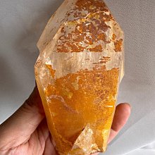 彩虹水母金豪藍芽喇叭 水母藍芽喇叭 藍牙喇叭 藍芽喇叭 音樂季 音樂節 party 贈品 藍芽音箱 揚聲器 音響 免持通 歷史價格詳細信息