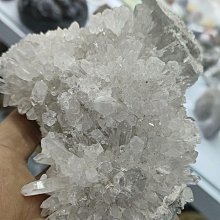 4292.日式半透明夾子 簡約設計衣夾照片收納高顏值塑料夾子10個裝~ 限時特價cud【二丁目】 歷史價格詳細信息