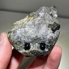 【小葱】清貨ASTRO登山車架TR200 26寸27.5寸用鋁合金自行車碟煞車架男女 歷史價格詳細信息