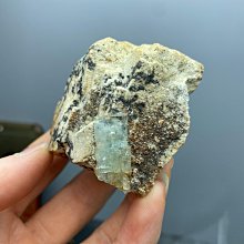 納米比亞1993年發行的歷史上第一套流通幣，5枚全套，銀行原4166 歷史價格詳細信息