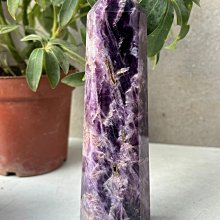 【二手】天然云母和黑碧璽礦物共生標本，重280克，尺寸45✖️52✖ 水晶 擺件 -8733 歷史價格詳細信息