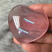 【心安齋】有五個姊姊的我就註定要單身了啊(1) /啞鳴/尖端T5 歷史價格詳細信息