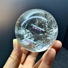 送白帶魚【三頓飯】鮮嫩野生白鯧魚(3尾組_220-280g/尾) 歷史價格詳細信息