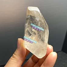 735【特381】87年『花卉郵票--草本花』原膠上品  3全 歷史價格詳細信息