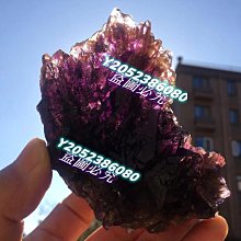 可議價)骨力勁® SILVER 骨骼專用營養品 (成犬貓用) 30錠 新包裝 歷史價格詳細信息