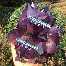 可議價)骨力勁® SILVER 骨骼專用營養品 (成犬貓用) 30錠 新包裝 歷史價格詳細信息