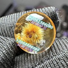 1111～妍心 Grain de beaute   深深酒紅豹紋髮插 與同色調（非GB）髮束 歷史價格詳細信息