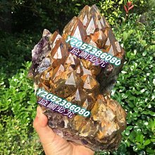 可議價)骨力勁® SILVER 骨骼專用營養品 (成犬貓用) 30錠 新包裝 歷史價格詳細信息