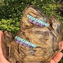 可議價)骨力勁® SILVER 骨骼專用營養品 (成犬貓用) 30錠 新包裝 歷史價格詳細信息