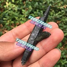 尼特利水草燈金屬筒燈pro 專業全光譜led水草燈神燈尼特利at3 歷史價格詳細信息