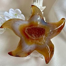 守洞塵技 崔虎剛 校注 2018-1 北京科學技術出版社 歷史價格詳細信息