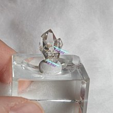 多頭 G11 G30 螢幕點擊器 直播 手機平板 臉書按讚 連點器 屏幕 點擊器 螢幕連點器 自動點讚機 遊戲輔助器 歷史價格詳細信息