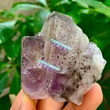 #516 SPORTS ILLUSTRATED SEPTEMBER 26 1983 DOUG FLUTIE LITTLE BIG MAN 歷史價格詳細信息