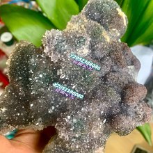 二手《靈異象限》市售版DVD(博偉公司貨) 歷史價格詳細信息