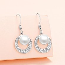 鋯石灰珍珠串耳環小眾獨特氣質耳飾女2023新款爆款輕奢高級感耳針 歷史價格詳細信息