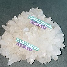 2MM兩件式潛水服男女防曬浮潛衝浪服 情侶保暖防寒潛水短袖短褲泳衣 歷史價格詳細信息