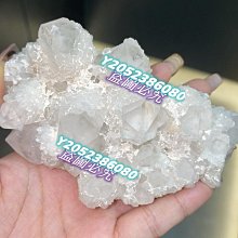 蘿菠蘿菠2 + 推倒堤基 迷你版 【桌遊侍】正版實體店面快速出貨《免運.再送充足牌套》 歷史價格詳細信息