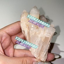 543二手貨-瑞興5尺工作台冰箱 風冷式全冷藏 歷史價格詳細信息