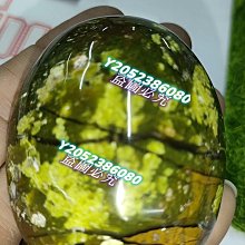 綠泊然定時自動噴香機家用香薰機化妝室除臭香氛機酒店加香機商用 歷史價格詳細信息