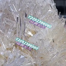 【姆比】可愛餅乾造型 餅乾抱枕 薯片抱枕 發聲玩具 寵物啃咬玩具 耐咬玩具 響紙玩具 狗狗玩具 貓咪玩具 寵物抱枕玩具 歷史價格詳細信息