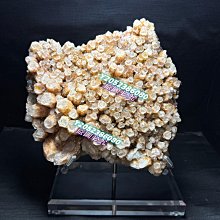 23頭加強型手推式鑿毛機 23頭加強型手推式鑿毛機 歷史價格詳細信息