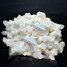 23頭加強型手推式鑿毛機 23頭加強型手推式鑿毛機 歷史價格詳細信息