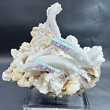 可議價 漂亮清代老翡翠滿甜綠花鳥大花片 畫面豐富 顏色甜美 尺寸47*26.5*4mm 大漏包 舊藏 古玩 翡翠 二手【民國古玩】-527 歷史價格詳細信息