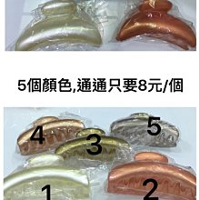 現貨 長型蛋糕盤甜點托盤ER0228▸木質蛋糕展示盤▸甜點盤▸ 創意甜盤▸木製蛋糕台▸玻璃罩蛋糕盤▸蛋糕盤▸甜點托盤-滿599免運 歷史價格詳細信息