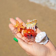 大田海洋蜜沙茶一包660元、5斤（3000公克）超商只能一包 歷史價格詳細信息