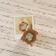 小巧高效髮廊大風吹風機家用大功率理髮店負離子電吹風筒恆溫冷熱 歷史價格詳細信息