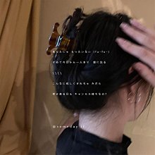 高馬尾小抓夾固定神器防塌發夾2022新款后腦勺發卡女夾子頭飾女~特價 歷史價格詳細信息