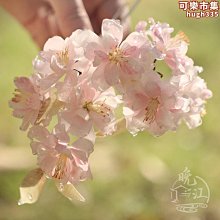 古風U型髮簪 髮釵步搖高級感 盤髮簪子釵子旗袍髮飾女 原創手作 歷史價格詳細信息