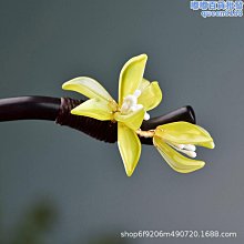 【水月】女方陪嫁套裝結婚用品大全高檔物品陪嫁箱嫁妝婚慶婚禮聚寶盆全套 歷史價格詳細信息