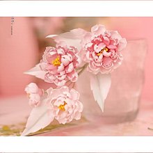 綬實卡斯丁伸縮路亞竿全套配件套裝水滴輪捲線器槍柄直柄竿拋竿遠投 歷史價格詳細信息