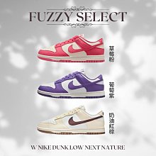 W Nike Dunk Low Next Nature 米白亞麻 麂皮 復古 低筒 休閒鞋 女鞋 HJ7673-100 歷史價格詳細信息