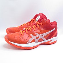 【isport】小籃球組 體適能 教具 教學玩具 幼稚園認知 學習 益智玩具 歷史價格詳細信息