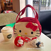 女士便攜大容量手提包飯盒手提袋防油保溫帆布包上班族學生帶飯包 歷史價格詳細信息