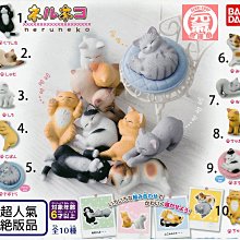 BANDAI 小貓造型魚板 (2.5g) 歷史價格詳細信息